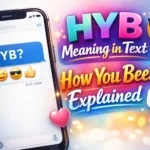 HYB Meaning in Text