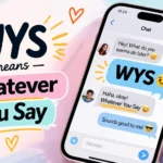 WYS Mean in Text