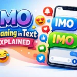 IMO Mean in Text