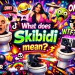 Skibidi Mean in Text
