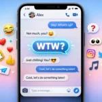 WTW Mean in Text