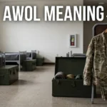 AWOL Mean