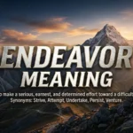 Endeavor Meaning