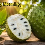 Soursop Meaning