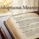 Voluptuous Meaning